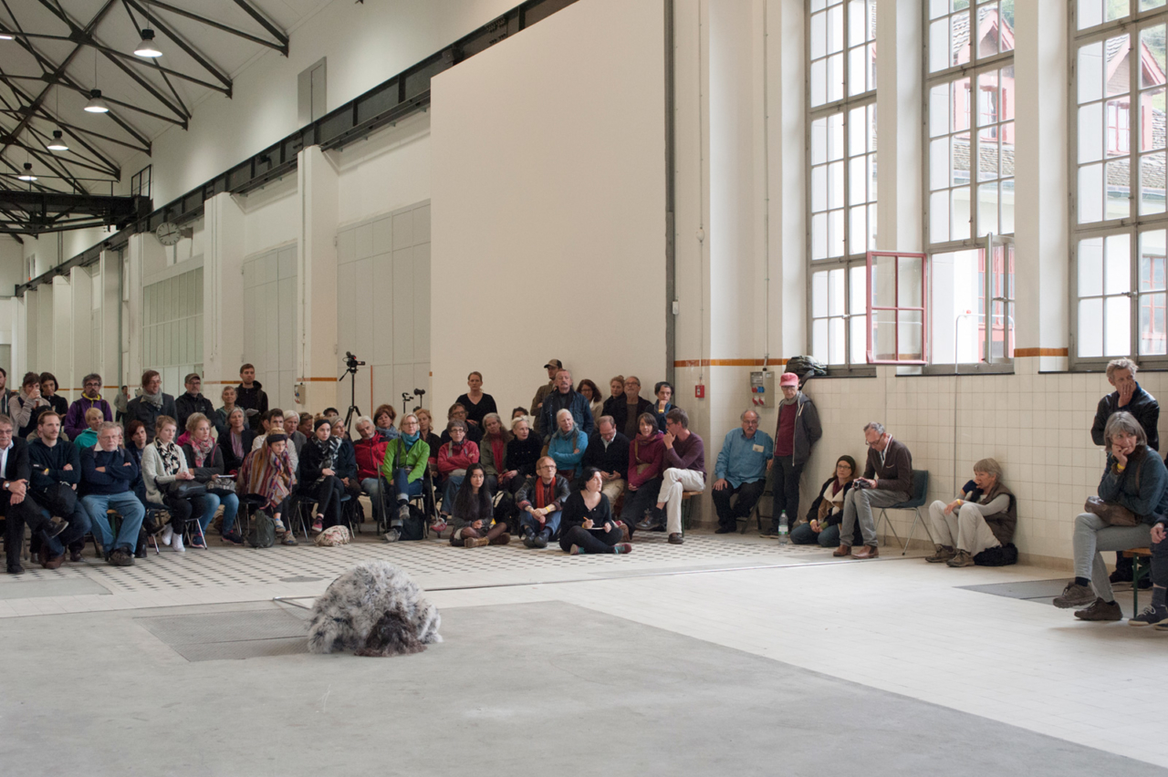 Translocal Performance Art Giswil 2014