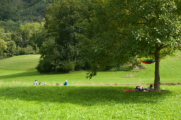 Translocal Performance Art Giswil