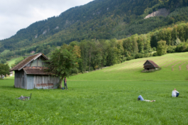 Translocal Performance Art Giswil