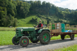 Translocal Performance Art Giswil