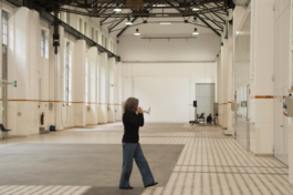 Translocal Performance Art Giswil