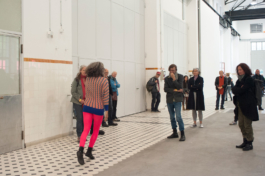 Translocal Performance Art Giswil