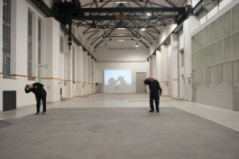 Translocal Performance Art Giswil