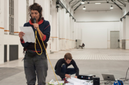 Translocal Performance Art Giswil