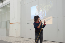 Translocal Performance Art Giswil