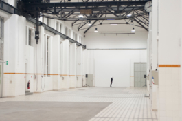 Translocal Performance Art Giswil