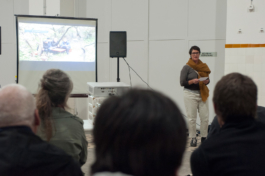 Translocal Performance Art Giswil