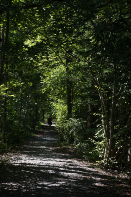 Translocal Performance Art Giswil