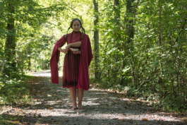 Translocal Performance Art Giswil