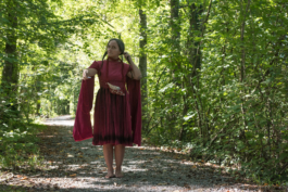 Translocal Performance Art Giswil