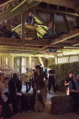 Translocal Performance Art Giswil