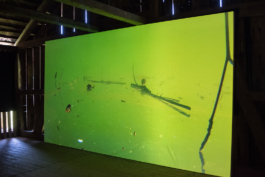 Translocal Performance Art Giswil