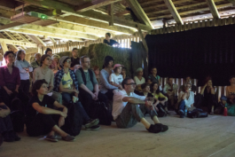 Translocal Performance Art Giswil