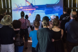 Translocal Performance Art Giswil