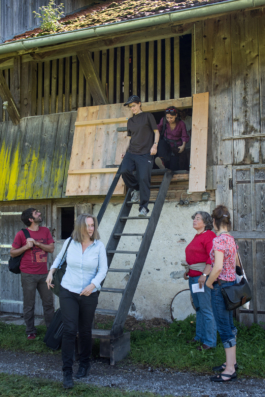 Translocal Performance Art Giswil