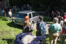 Translocal Performance Art Giswil