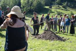 Translocal Performance Art Giswil