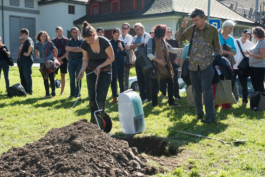 Translocal Performance Art Giswil