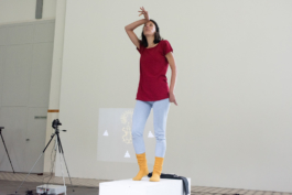 Translocal Performance Art Giswil