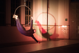 Translocal Performance Art Giswil