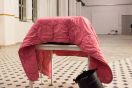 Translocal Performance Art Giswil