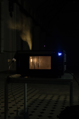 Translocal Performance Art Giswil