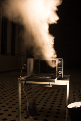 Translocal Performance Art Giswil