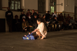 Translocal Performance Art Giswil