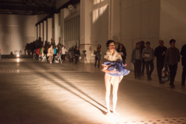 Translocal Performance Art Giswil