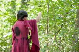 Translocal Performance Art Giswil