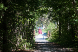 Translocal Performance Art Giswil