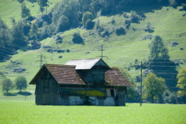 Translocal Performance Art Giswil