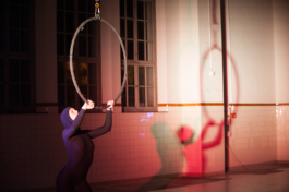 Translocal Performance Art Giswil