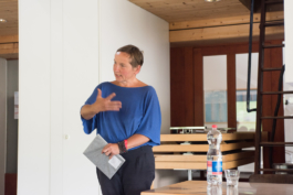 Translocal Performance Art Giswil