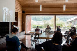 Translocal Performance Art Giswil