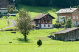 Translocal Performance Art Giswil