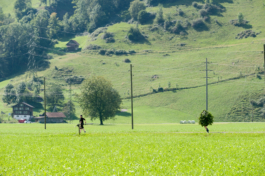 Translocal Performance Art Giswil