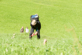 Translocal Performance Art Giswil