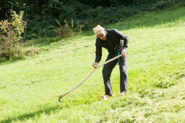 Translocal Performance Art Giswil