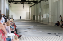 Translocal Performance Art Giswil