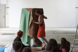 Translocal Performance Art Giswil