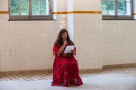 Translocal Performance Art Giswil