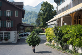 Translocal Performance Art Giswil