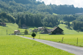 Translocal Performance Art Giswil