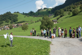 Translocal Performance Art Giswil