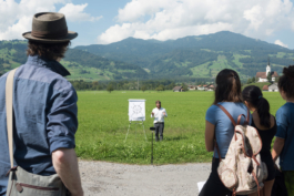 Translocal Performance Art Giswil