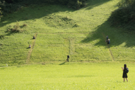 Translocal Performance Art Giswil