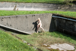 Translocal Performance Art Giswil