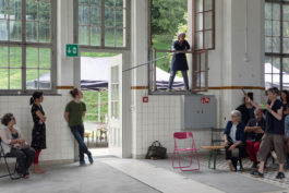 Translocal Performance Art Giswil