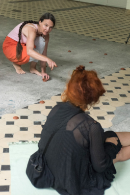 Translocal Performance Art Giswil